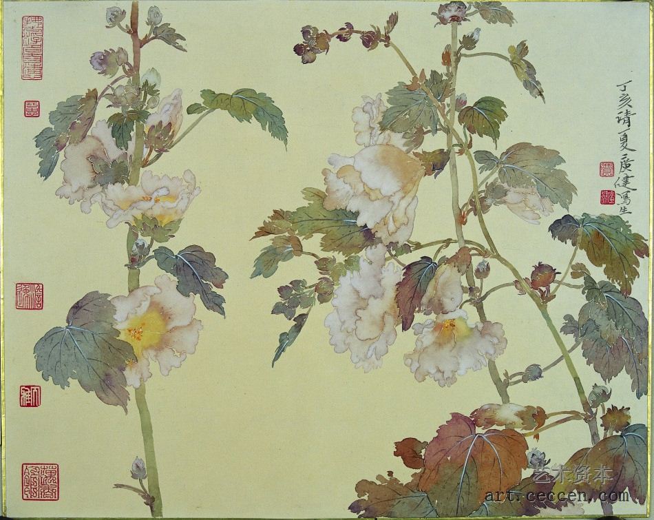 秋葵 45×55cm 纸本设色 2008年